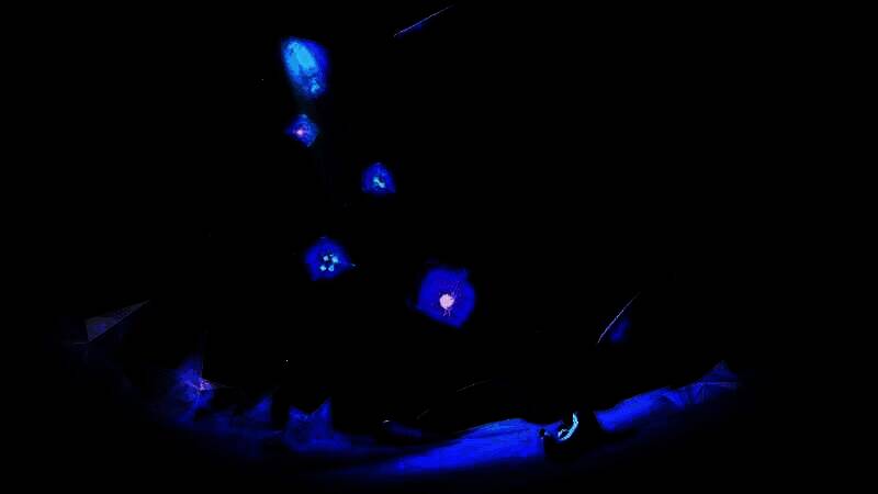 《PIO》游戏截图5