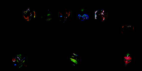 阵容站位相关图片