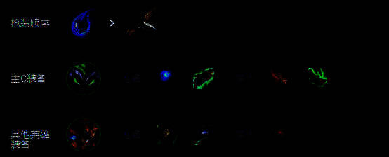 装备选择相关图片