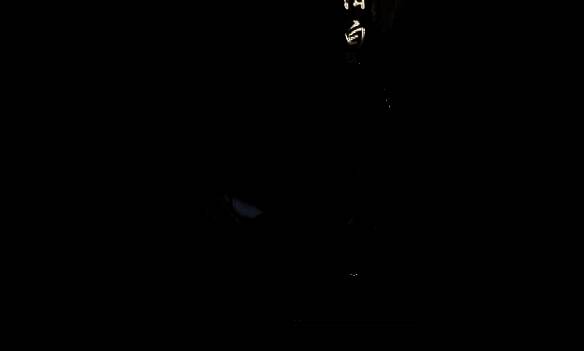 用金玉手调整骸骨方向画面