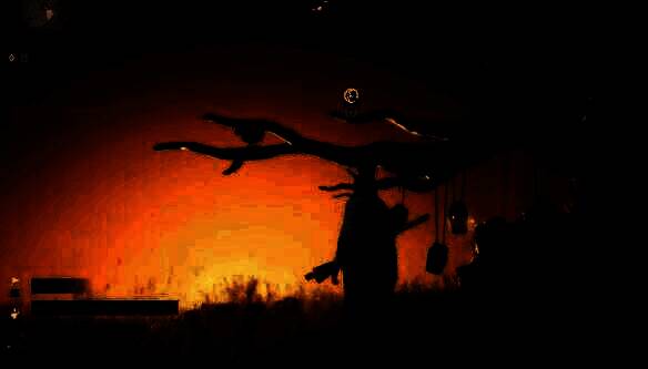 在金沙川小树处互动听声音截图