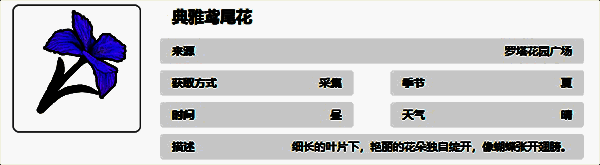 典雅鸢尾花图片