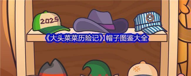 大头菜菜风格多样的装扮图片