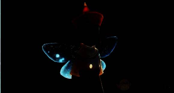 光遇中的唐僧帽