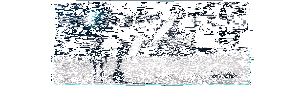 《暗月》游戏动态画面