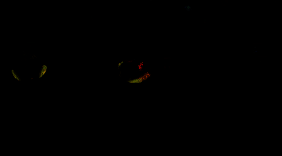 《军团保卫战》KOF模式画面