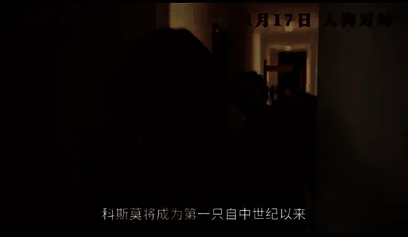 电影《狗的审判》视频截图6