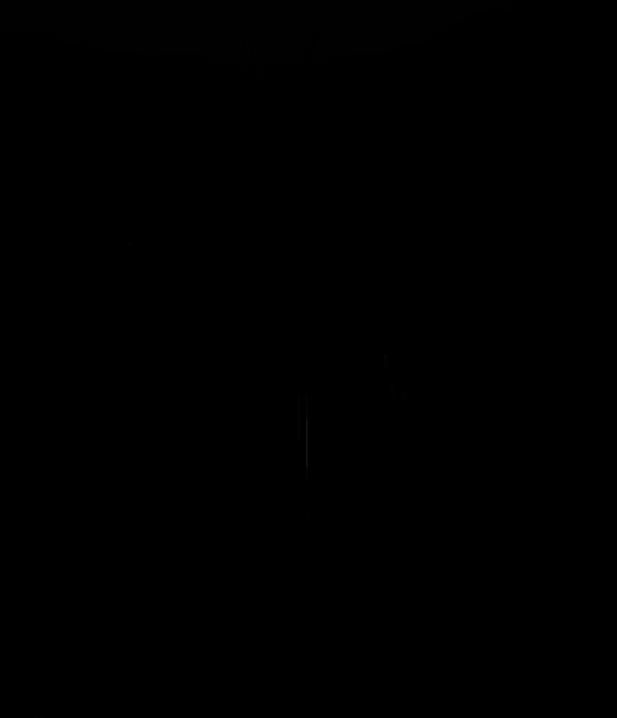 大扎姆钢普拉实物样品6