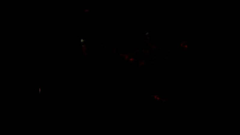 《血源》实机演示视频截图4