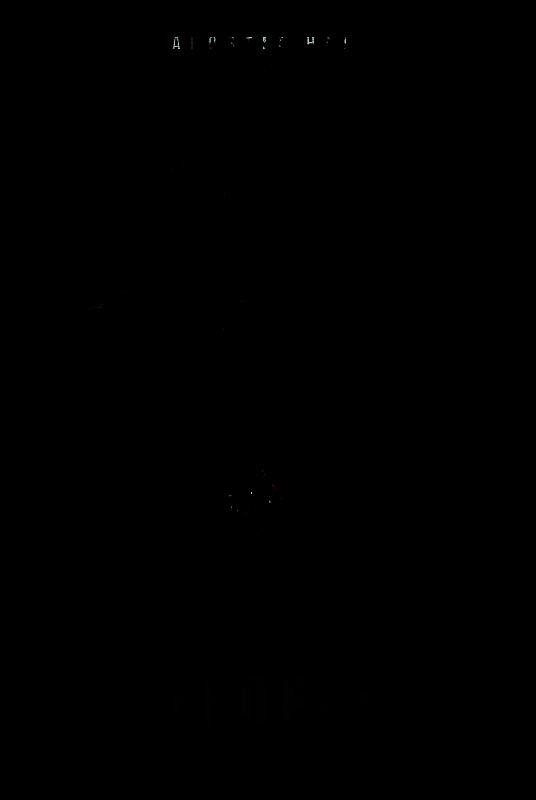 相关项目概念图1