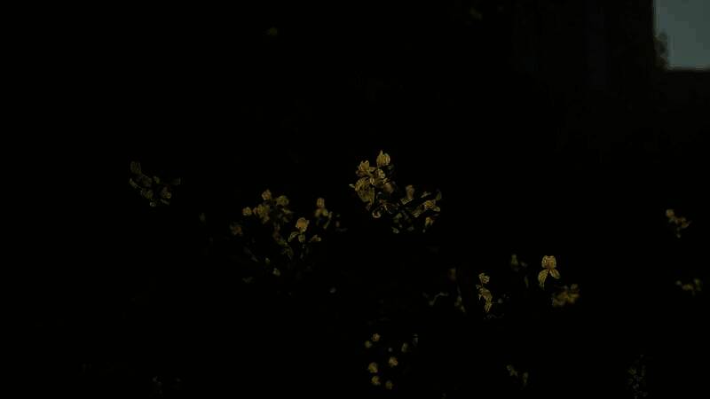 《精灵之锁》游戏画面11