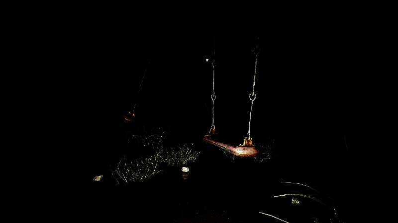 《受诅咒的数位相机》游戏画面4