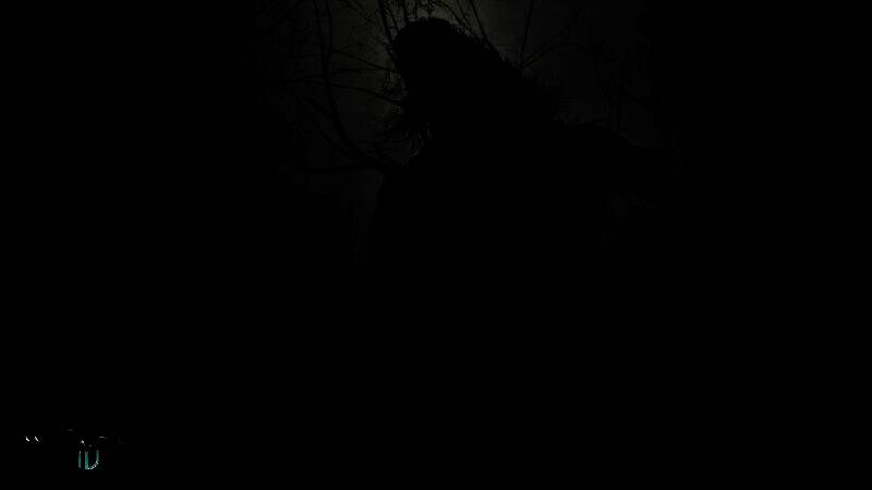 《巫师4》相关画面1