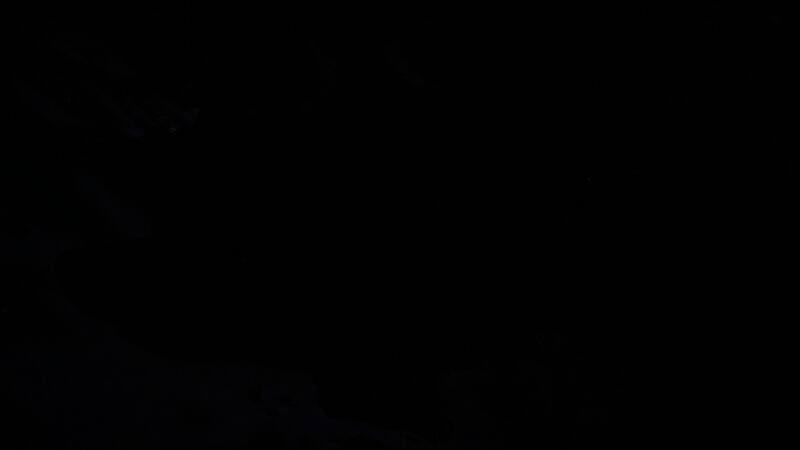 粉丝自制虚幻5《上古卷轴5：天际》Demo视频截图3