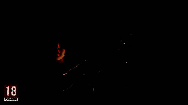 《刺客信条：影》游戏画面1