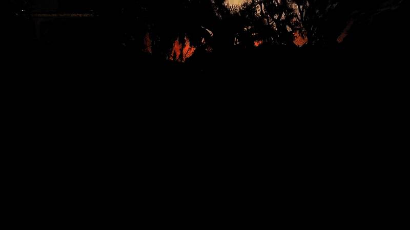 《午夜之南》游戏画面