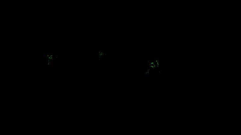 《浴血西部：亡者的承诺》游戏画面2