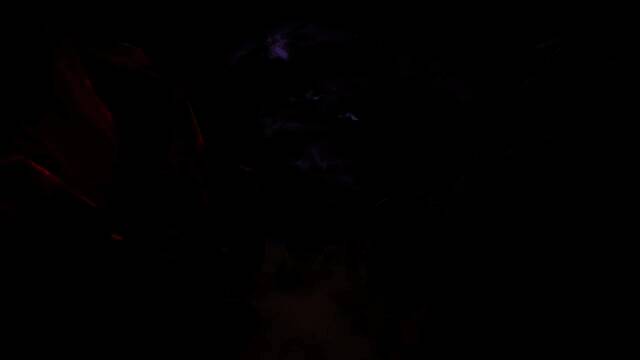 《矩阵：零日危机》视频截图1