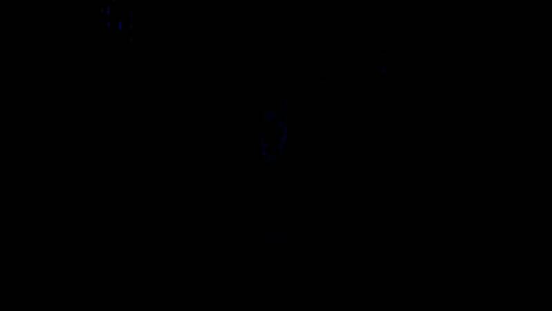 《星际：异端先知》相关画面3