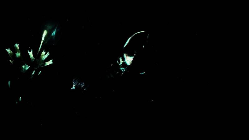 《Turok : Origins》游戏画面4