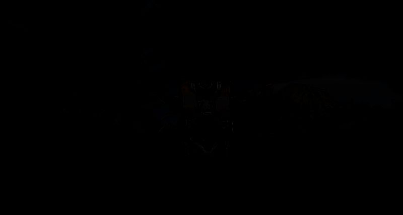 《无主之地4》中小吵闹形象