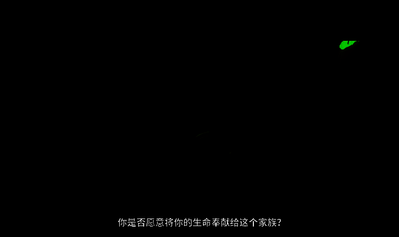 黑手党家族相关画面4