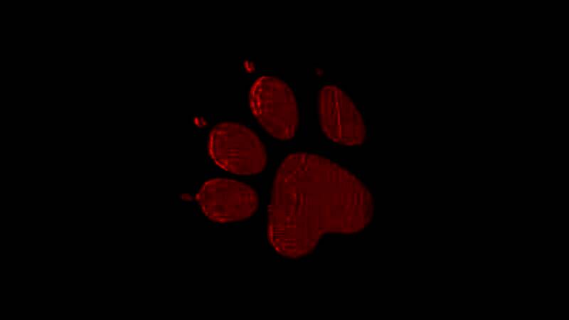 《星际：异端先知》游戏画面17