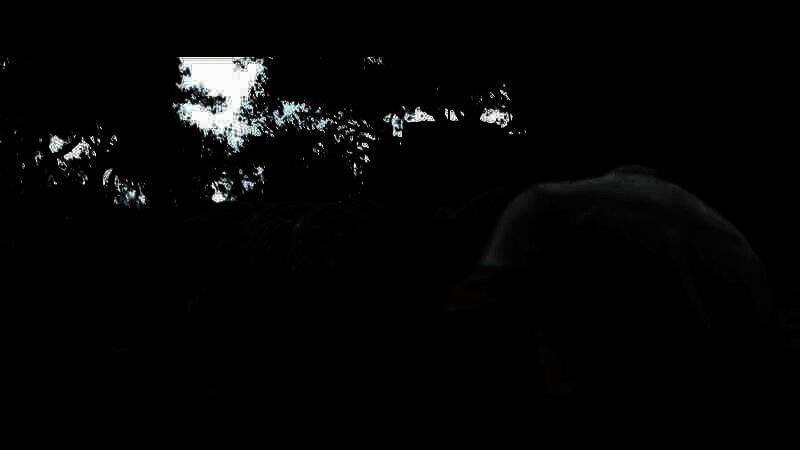 《四海兄弟：故乡》视频截图3