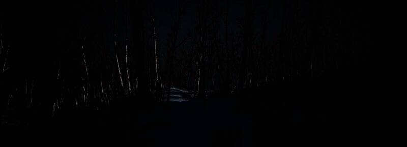 《漫漫长夜2：Blackfrost》游戏截图3