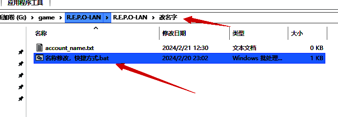 《R.E.P.O.》改名字操作截图