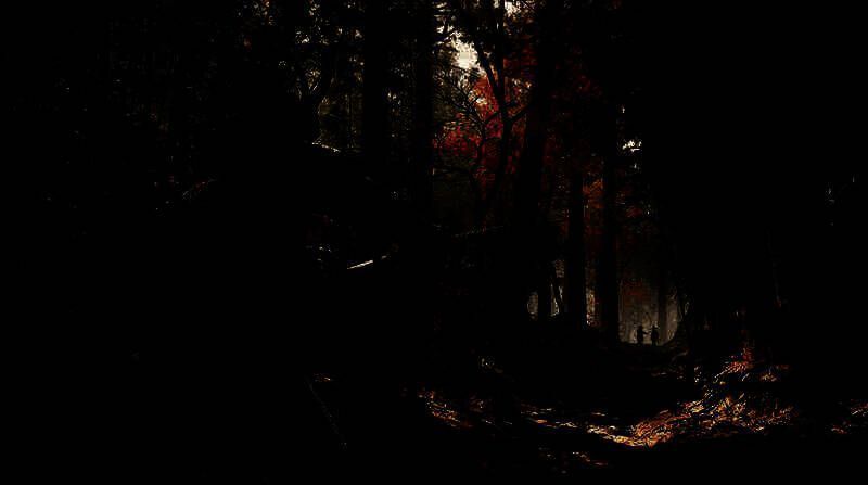 《刺客信条:影》相关图片1