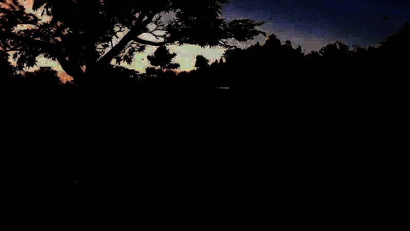 《刺客信条：影》战斗画面8