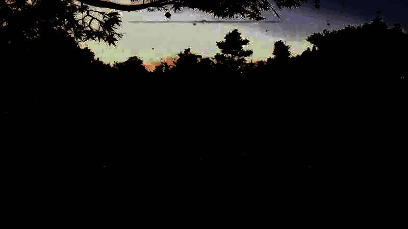 《刺客信条：影》战斗画面10