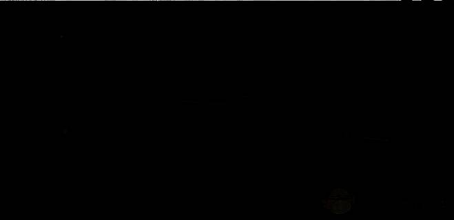 M14射手步枪改枪展示