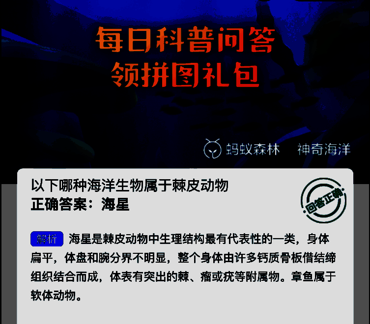 相关海洋生物图片2