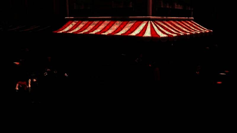 《Wylde Society》游戏相关图片5