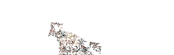 《废城喵游记》游戏动图1