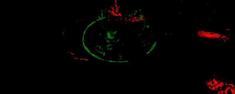 最后纪元侍祭玩法相关图片