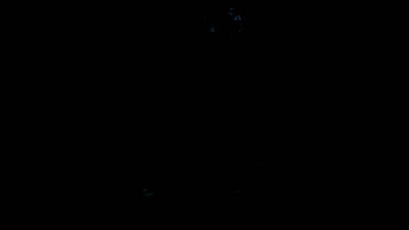 《明末：渊虚之羽》游戏截图，展现逼真画面