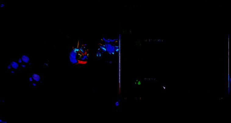 《崩溃大陆2》全流派配装与宠物推荐 《崩溃大陆2》流血流派鸟蛋和蜗牛宠物