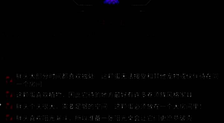 胖头鱼宠物蛋相关图片