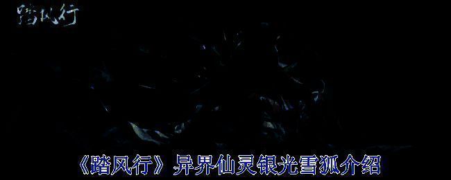 《踏风行》游戏相关图片