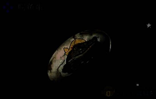 鳄鱼蛋物品图片