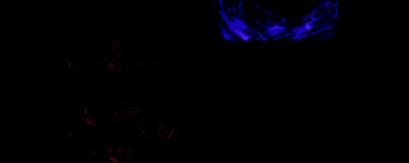 《上古卷轴4：湮灭重制版》游戏画面