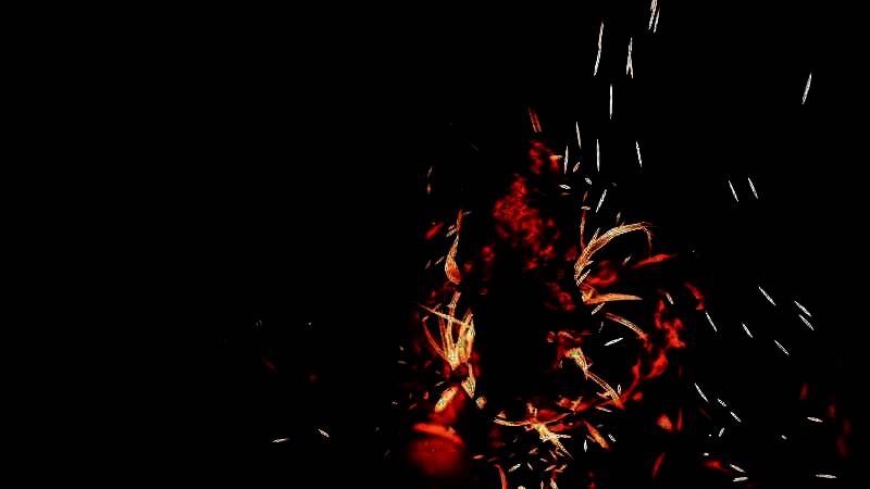 《明末：渊虚之羽》武器展示