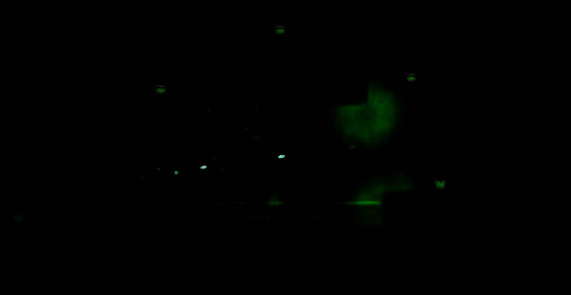 《辐射小马国：废墟》游戏特点展示图2