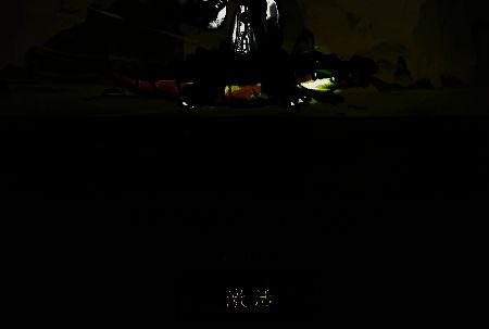 我和我的天宫灵化形态相关图片