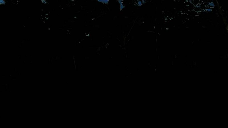 《极限竞速：地平线5》PS5 Pro画面展示10