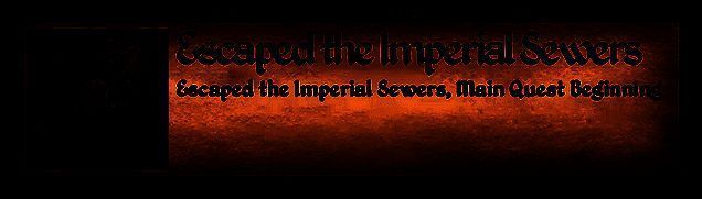 《上古卷轴4：重制版》游戏画面2