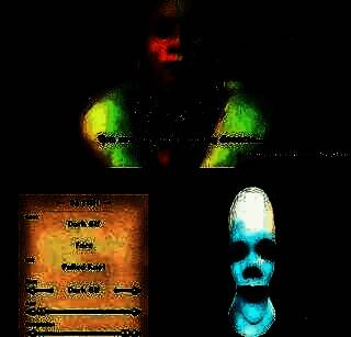 《上古卷轴4：湮灭 重制版》角色编辑器相关图片